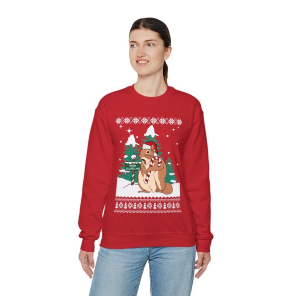 Merry Squirrelmas Ugly Christmas Sweatshirt Womens