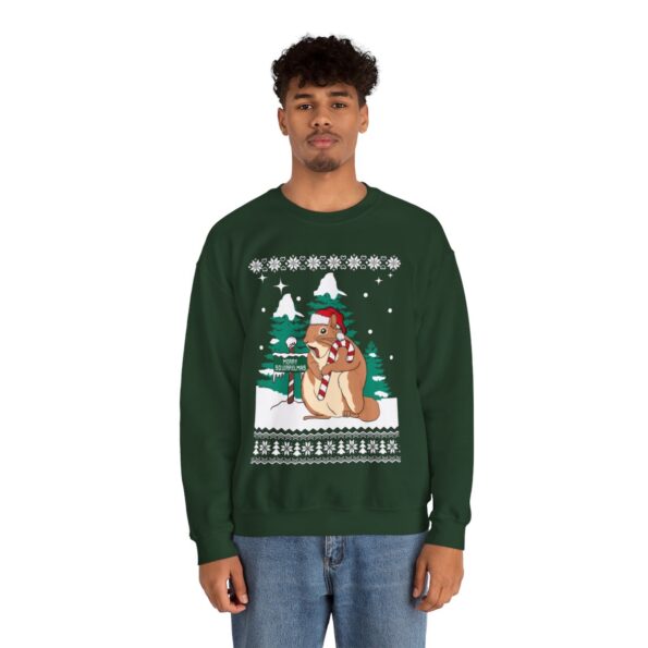 Squirrel Lover Santa Hat Animals Christmas Sweatshirt For Men