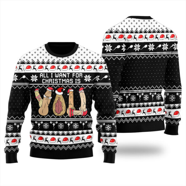 All I Want For Christmas Is Naughty Ugly Sweater Black
