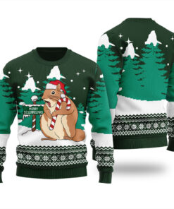 Cute Squirrel Funny Ugly Christmas Sweater Forest Green