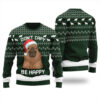 Dont Capy Be Happy Capybara Ugly Sweater Forest Green